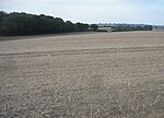 Thumbnail for File:Looking into Forty Acres Field (40.5 acres) - geograph.org.uk - 4712985.jpg