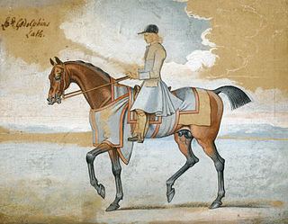 <span class="mw-page-title-main">Lath (horse)</span> British Thoroughbred racehorse