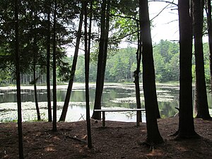 The Lunden Pond in the reserve