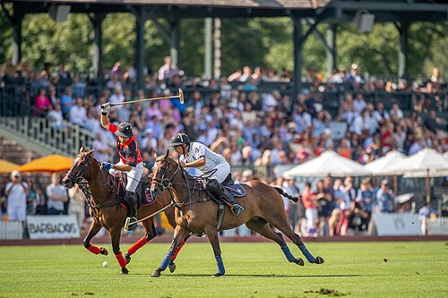 Поло клуб. Московский поло клуб. Polo Club great Britain. Поло клуб и Бёрбери.