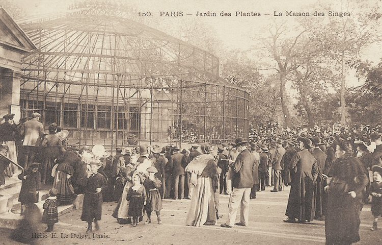 Crowd outside the Palace of the Apes (c. 1900)