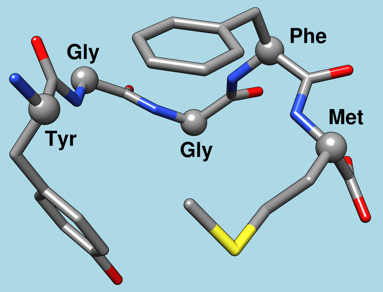 File:Met-enkephalin 1plx model 1.png