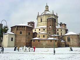 Yleisnäkymä basilikasta