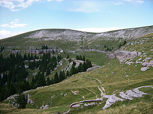 Monte Fior