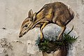 * Nomination A mural of a lesser mouse-deer (Tragulus kanchil) on a wall in Malacca City, Malaysia. GerifalteDelSabana 10:39, 29 August 2020 (UTC) * Promotion  Support Good quality. --Stepro 00:20, 6 September 2020 (UTC)