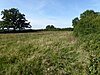 Muston Meadows