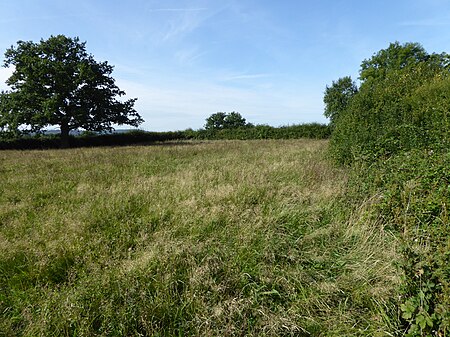 Muston Meadows 3