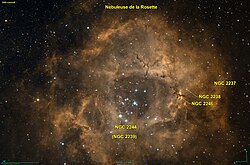 NGC 2246