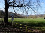 Naturschutzgebiet Ruhrmäander bei Laer