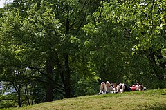 Reading under the trees. Central park. New York City 2005