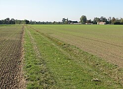 Near Eye Hall Farm - geograph.org.uk - 2624036.jpg