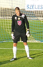 Thumbnail for Nenad Filipović (footballer)