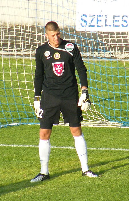 Nenad Filipović (cầu thủ bóng đá)