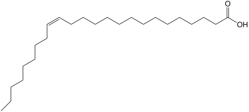 File:Nervonic acid.png