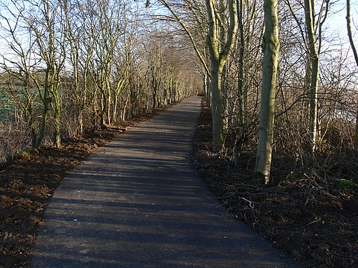 New footpath at Cossington Lakes - geograph.org.uk - 2832405