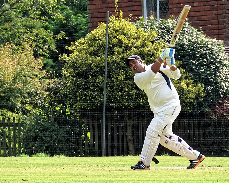 File:Nuthurst CC v. The Royal Challengers CC at Mannings Heath, West Sussex, England 05.jpg