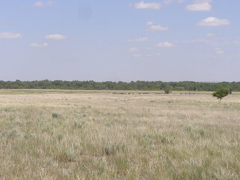 File:Old Julesburg P6060534.jpg