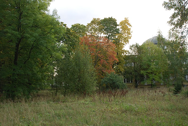 File:Oldenburgs' palace6.jpg