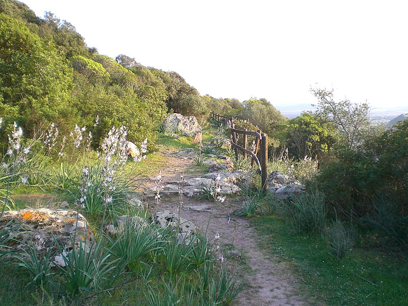 File:Olmedo - Monte Baranta (02).JPG