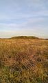 One of the three Wambarrows on Winsford Hill, Exmoor, Somerset.