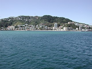 <span class="mw-page-title-main">Mount Victoria (Wellington hill)</span> Hill in Wellington, New Zealand