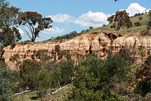 The Oriental Claims near Omeo, Australia were mined between the 1850s and 1900s. Hydraulic sluicing left man-made cliffs up to 30 metres (100 ft) high throughout the area. Oriental Claim, Oriental Claims 2, Omeo,Vic, 21.10.2010.jpg