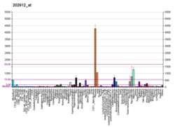 PBB GE ADM 202912 pod adresem fs.png