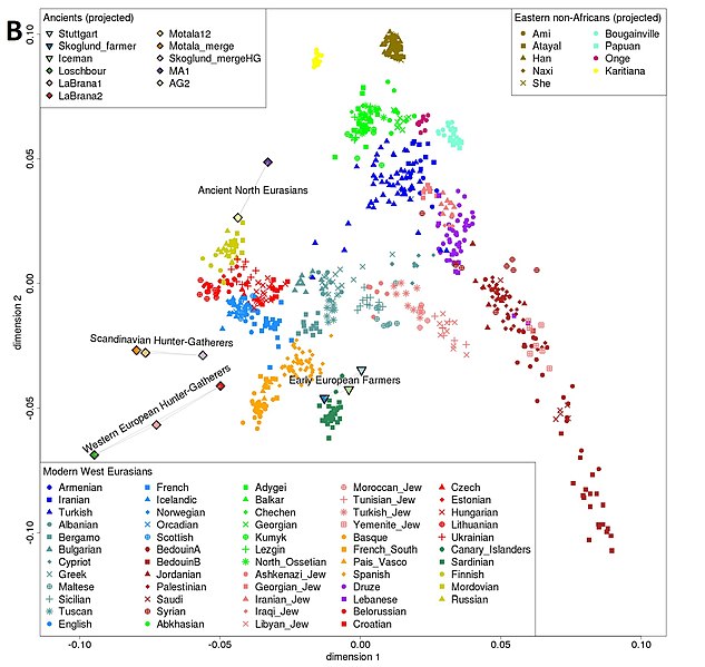 File:PCA map of ancient and modern populations.jpg