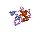 PDB 1fsh EBI.jpg