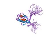 PDB 1ueq EBI.jpg