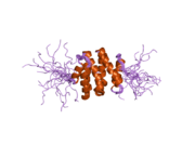 PDB 1x5b EBI.png