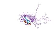 PDB 1x5o EBI.jpg