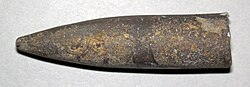 Pachyteuthis densus (ископаемый белемнит) (формация Swift, юрский период; округ Карбон, Монтана, США) 1 (49075434606) .jpg