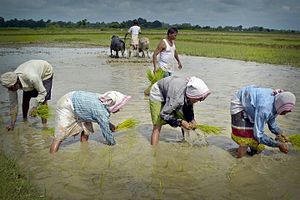 Assam: Etimología, Historia, Geografía