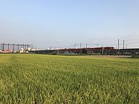 吉野ヶ里公園駅 - 神埼駅間、吉野ヶ里歴史公園東側を走行する783系「みどり」「ハウステンボス」。この地点から右側（西側）約200mは国道385号と立体交差するため高架線となっている。 2017年10月9日