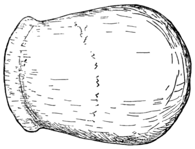 Palæolithic Man and Terramara Settlements in Europe, 0053b.png