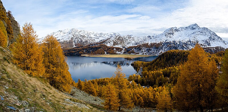 File:Panorama lago di Sils.jpg