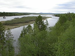 Pasvik älv och ön Vaarlamasaari, och Pasvik naturreservat