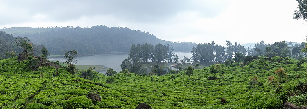 Patenggang Lake