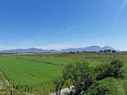 Landwirtschaftsflächen, im Hintergrund das Tafelbergmassiv