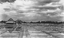 Production of sea salt by solar evaporation of water from the brine of the sea circa 1940