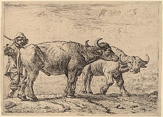 Two Buffaloes and a Herdsman