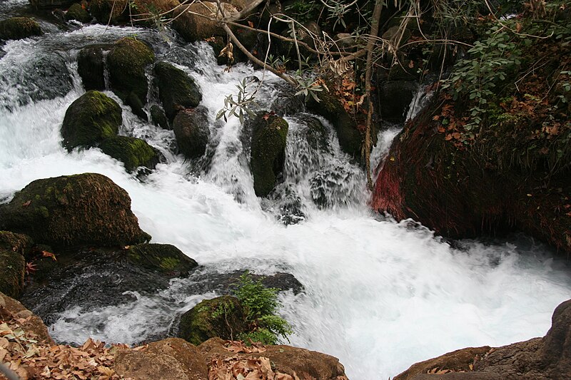 File:PikiWiki Israel 44161 BANIAS.JPG