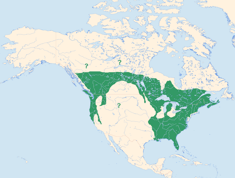 File:Pileated Woodpecker distr.map new.png