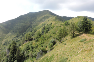 Pizzo Tracciora di Cervatto