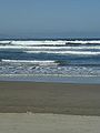 Playa Ritoque Chile.jpg