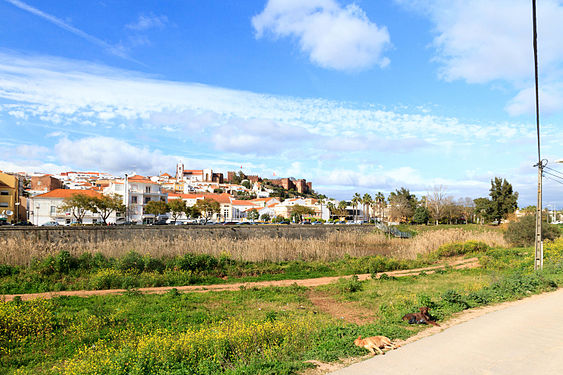 Silves