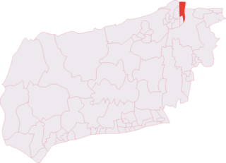 <span class="mw-page-title-main">Pound Hill & Worth (electoral division)</span>