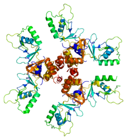 Protein CLCN5 PDB 2j9l.png