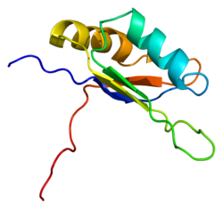 Proteino ELAVL3 PDB 1d8z.png